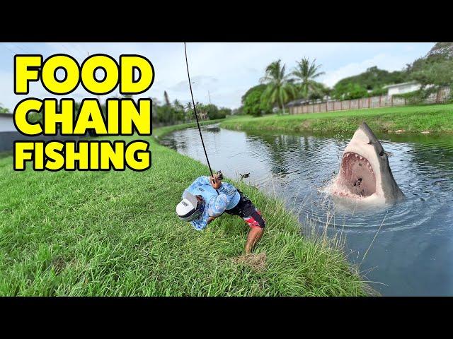 FOOD CHAIN FISHING | Monster Mike