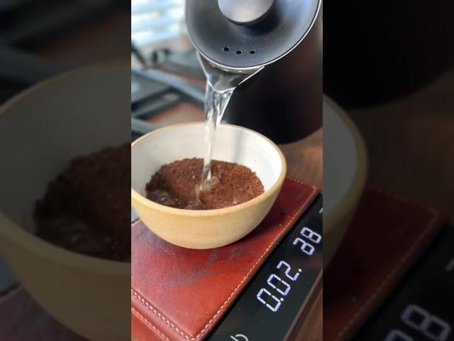 How to cup coffee #coffeecupping #specialtycoffee