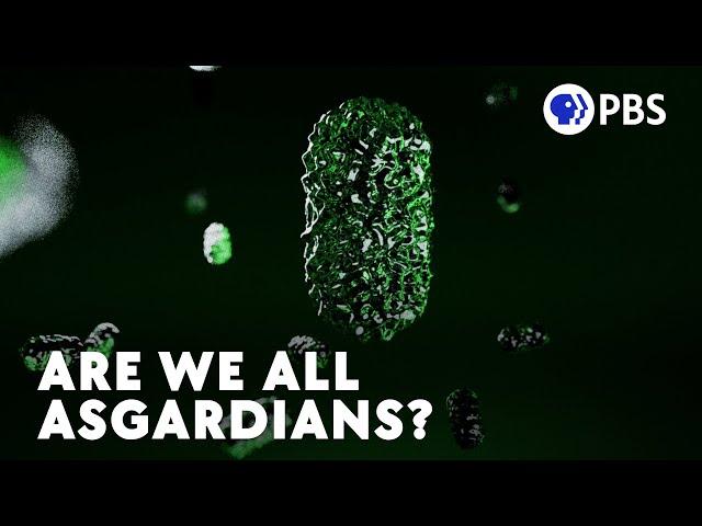 Are We All Actually Archaea?