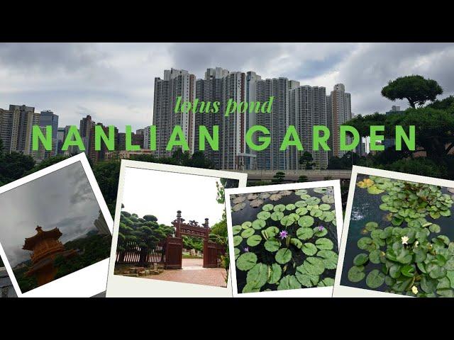 Lotus Pond Nan Lian Garden Terkini || My Daily  Vlog