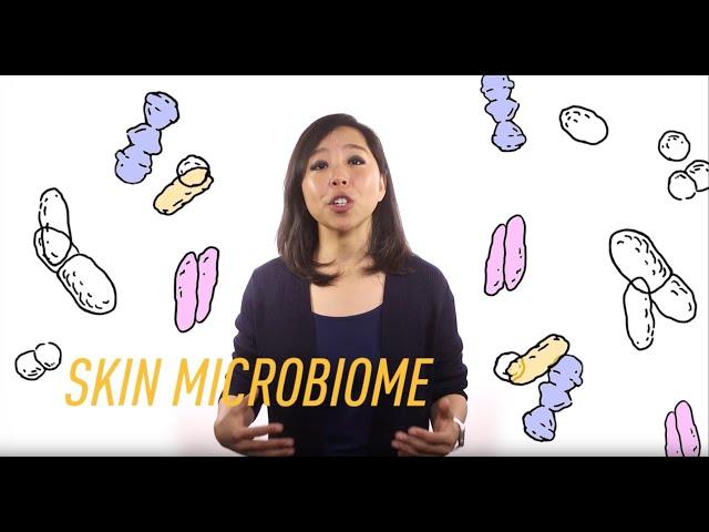 What is the skin microbiome?