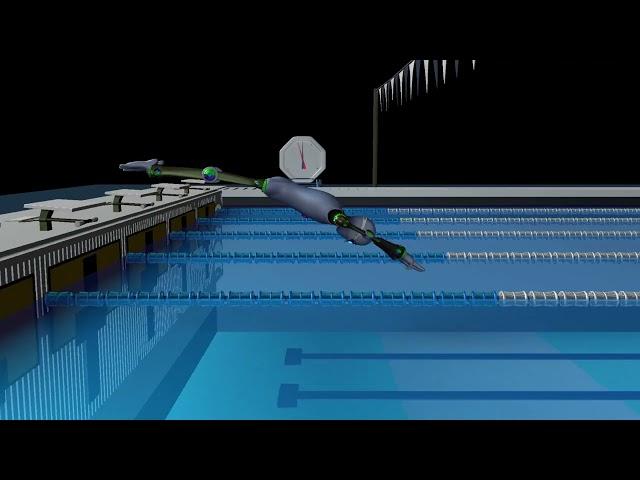 How to Dive Off a Starting Block in the Swimming Pool