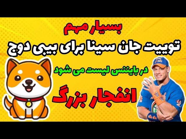 فوری توییت جان سینا برای بیبی دوج کوین | انفجار بیبی دوج در راه است؟|بیبی دوج در بایننس لیست می شود؟