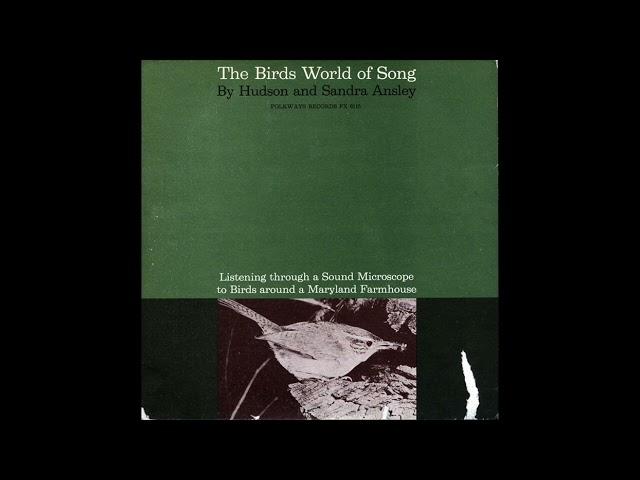 The Birds World of Song - Field Recordings