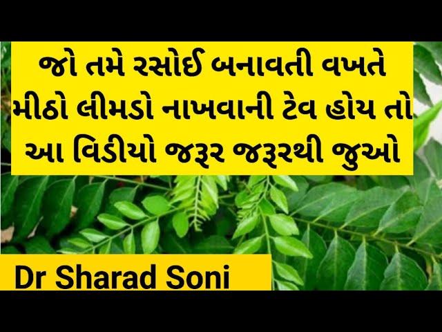 જો તમે રસોઈ બનાવતી વખતે મીઠો લીમડો નાખવાની ટેવ હોય તો આ વિડિઓ જરૂર જરૂરથી જુઓ ..........curry leaves