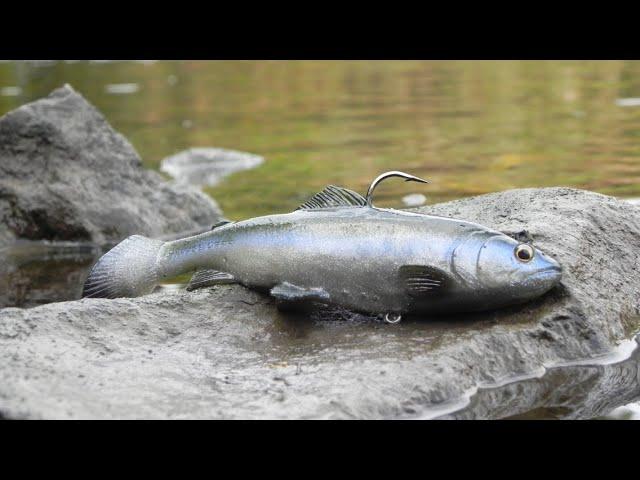 SAVAGE GEAR 3D TROUT REVIEW