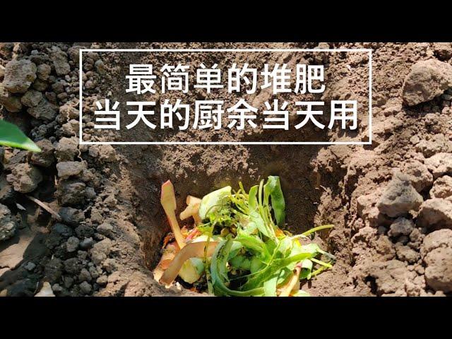 【我的有机小菜园】最简单的堆肥  当天厨余当天用  营养植物 肥力持续