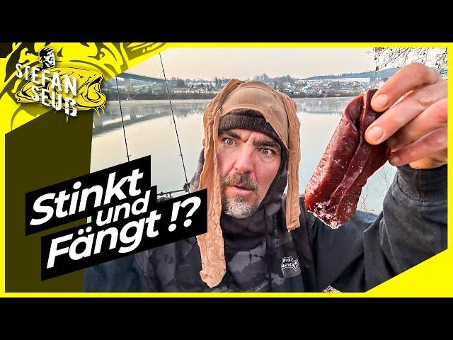 STINKT und FÄNGT Raubfische !? | Der beste ANGELKÖDER !? | EISKALT Angeln am Fluss