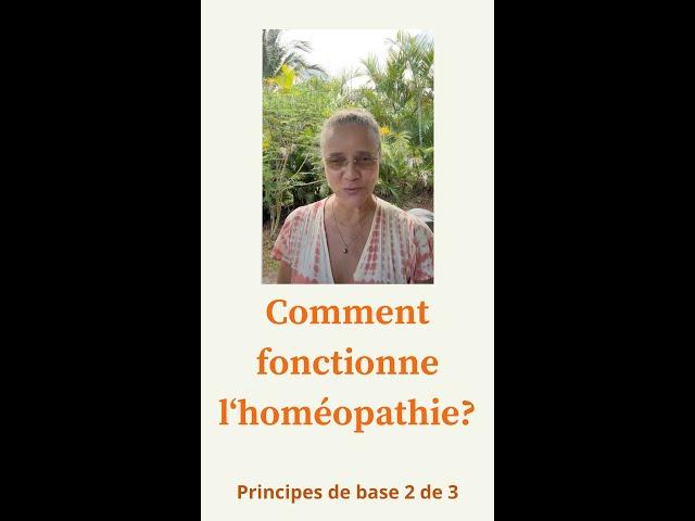 La racine de la maladie. L'homéopathie et ses Principes de Base (2 de 3) Ingrid Schutt homéopathe