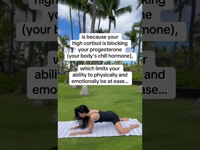 rebalance your hormones naturally and release the excess cortisol out of your body...