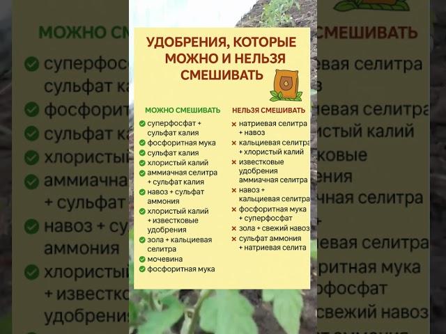 УДОБРЕНИЯ: Что МОЖНО и НЕЛЬЗЯ смешивать 
