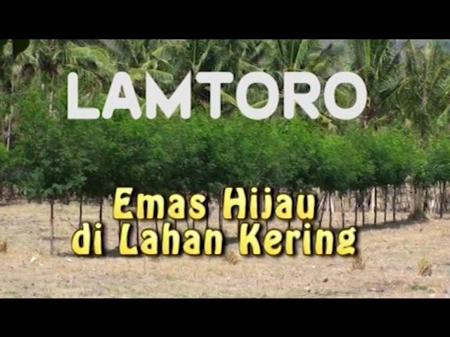 BPTP-NTB Lamtoro: Emas Hijau di Lahan Kering