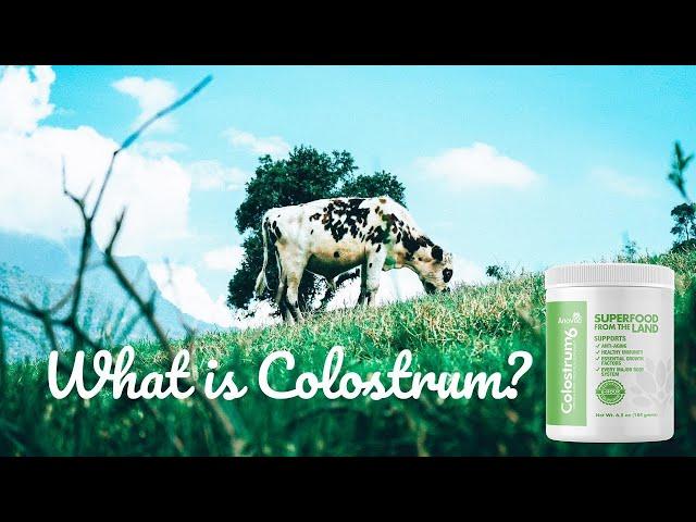 Colostrum6- Colostrum  Nature's Perfect Food