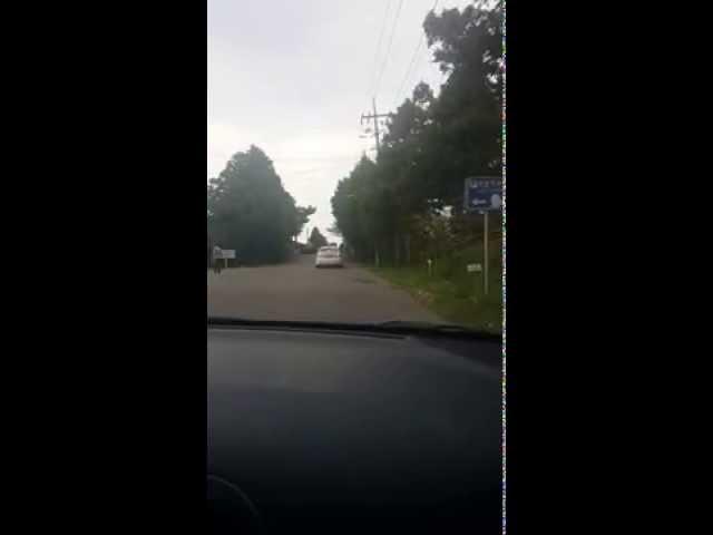 Mysterious Road at Jeju Island