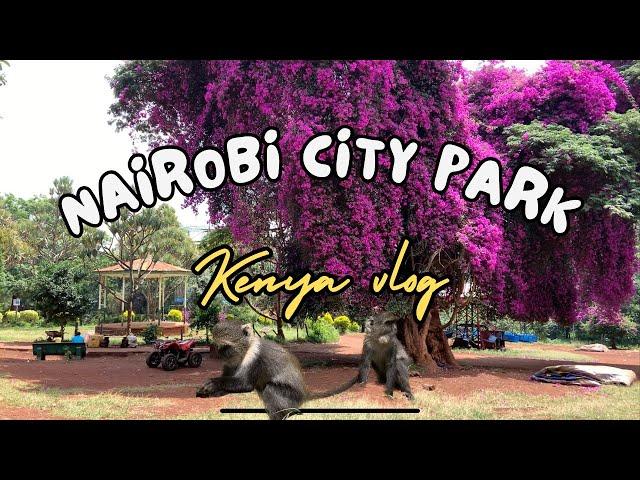 Nairobi City Park: Feeding Monkeys