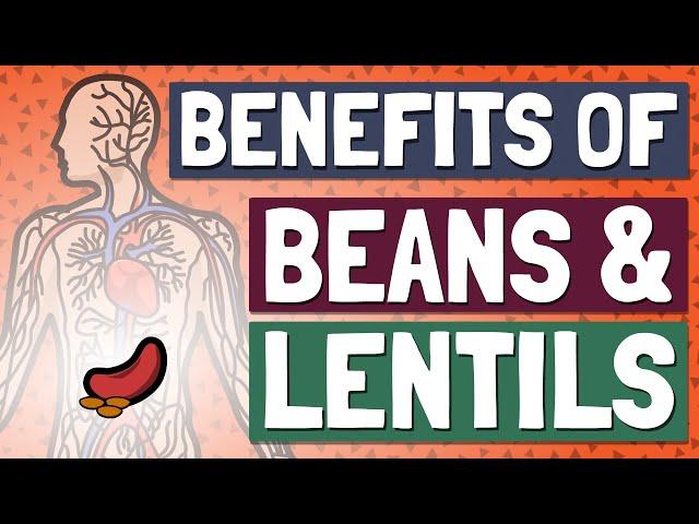 Eat Beans & Lentils Every Day for Incredible Health Benefits?!