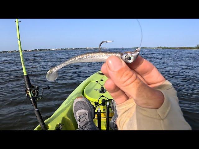 The Fish Couldn't Resist This Lure!!! Boat and Kayak Inshore Florida Fishing