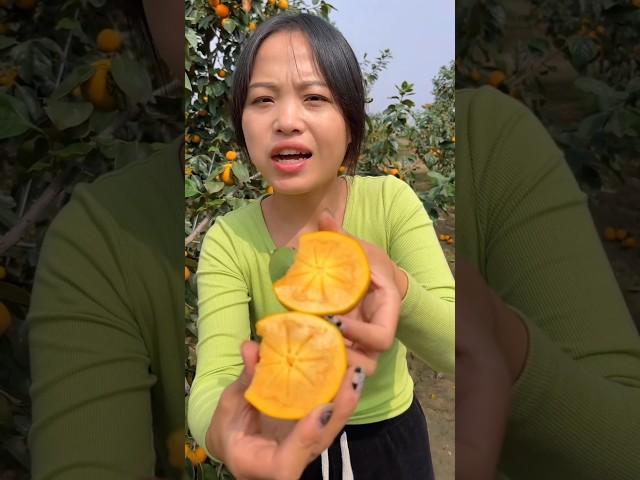 Enjoy Beautiful Persimmon Fruit  | Amazing Fresh Fruits Harvest #shorts #fruits #youtubeshorts