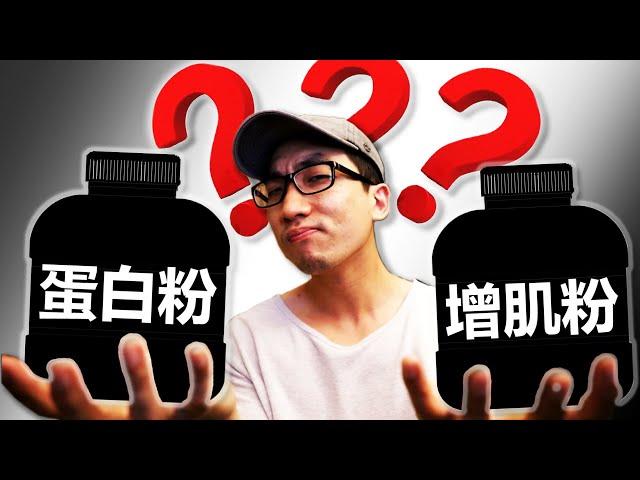 健身该买蛋白粉还是增肌粉？【1篇科学研究】【科学解析】