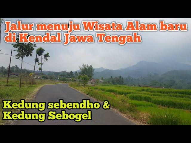 Jalur menuju Wisata Alam - Kedung Sebendho Dusun Kalikesek Limbangan Kendal Jawa Tengah