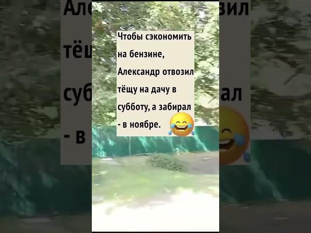 #семья#приколы