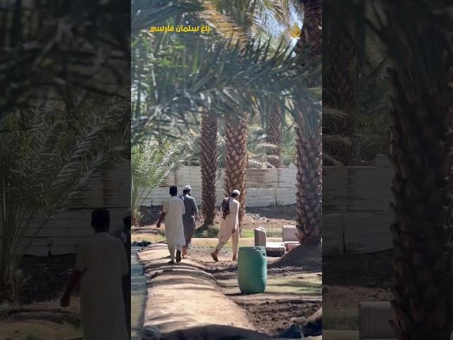 Garden of Salman Farsi | Ziyarat e Madina | Historical Place in Madina Rizwan Baloch VLOG