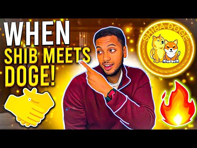 THE SHIBADOGE TEAM IS CREATING THE FIRST EVER DEFI BURN TOKEN! LETS TALK ABOUT $BURN! 