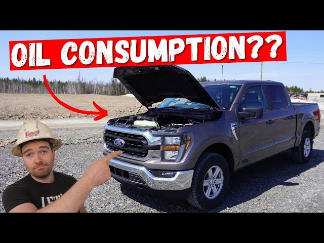 Ford F150 5L COYOTE V8 Engine | Top 5 Issues **Heavy Mechanic Reviews**