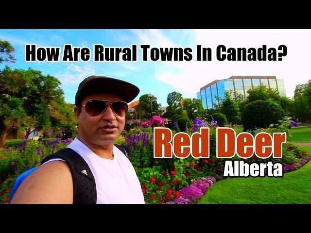 RED DEER - Alberta Hi-Fi Town In Rural Canada | Canadian Vlogs