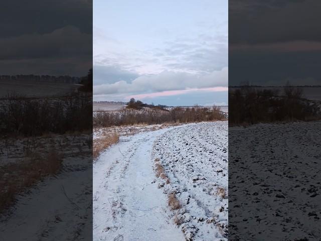 д. Беженка