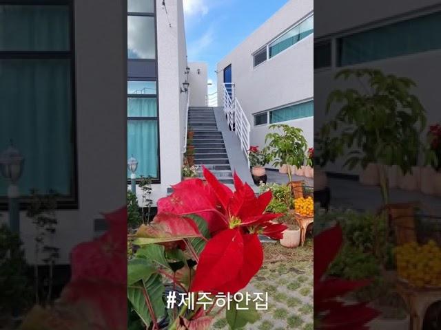 제주가족펜션 시골집입니다.