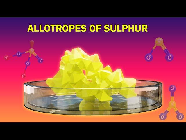 Allotropes & Reactions of Sulphur | P Block Elements | Chemistry Telugu | Class 12 | Ncert