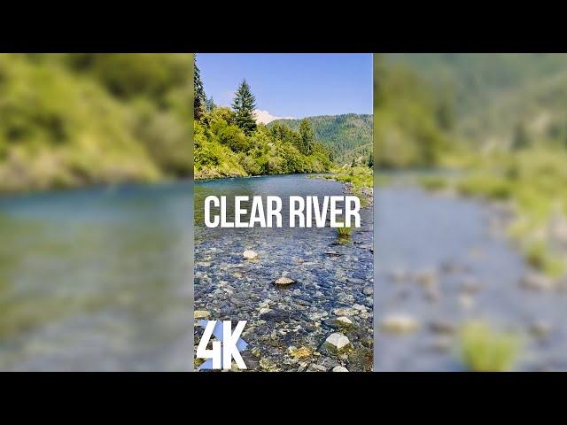 Soothing Sounds of a Clear River for Relaxation - 4K Vertical Screensaver - Jedediah Smith Park