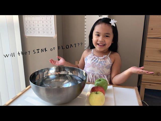 Sink or Float Experiment with Apples | Hayley Robin