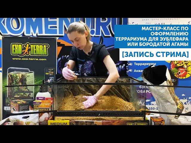 Мастер-класс по оформлению террариума для бородатой агамы или эублефара. Совместно с EXO TERRA.