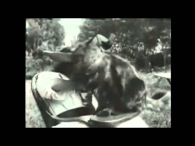 La Petite Fille Et Son Chat (1899) Louis Lumière First Cat Video Ever