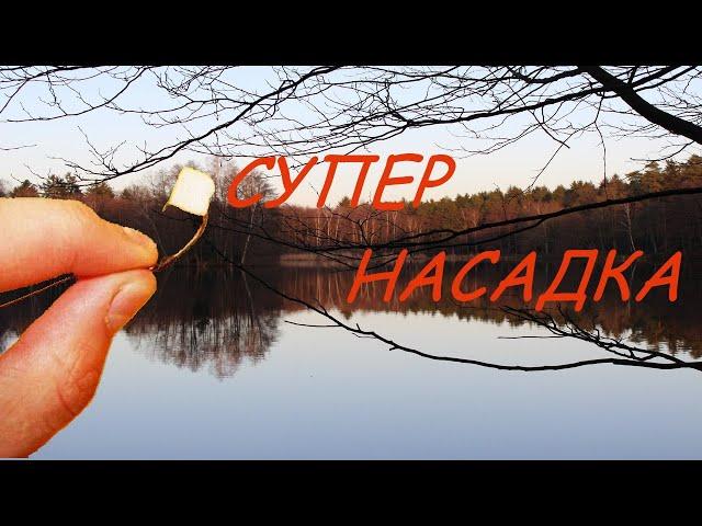Лучшая насадка как для зимней рыбалки, так и для осенней ловли крупной рыбы