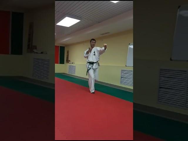 Bunkai Kumite -9 (Shikon Dojo, Kazan, Tatarstan) shihan Robert Hatmullin