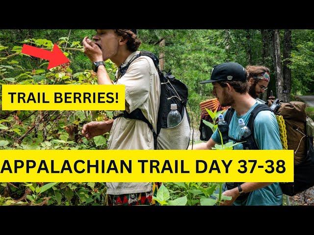 Hot Weather Hiking Tips Day 37-38 Appalachian Trail $1k Budger Hike