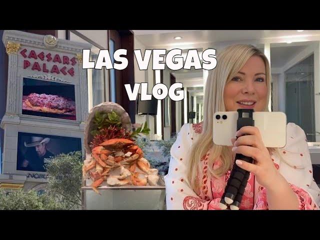 WELCOME TO LAS VEGAS! ARIA Sky Suite Penthouse Tour, Fine Dining, and Shopping // Travel Vlog 