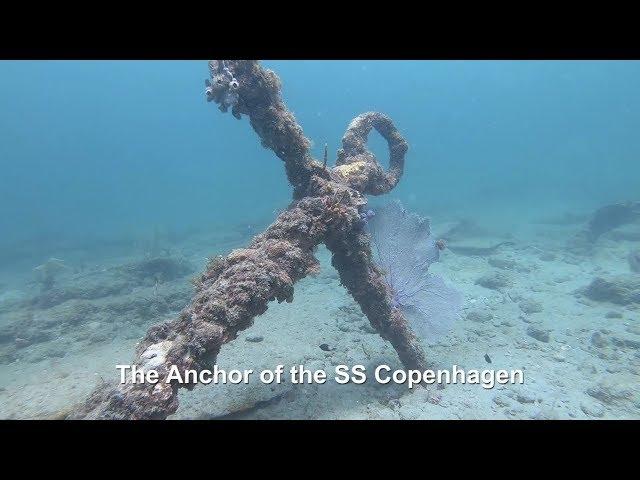 SS Copenhagen Wreck Diving FL / Fish Identification