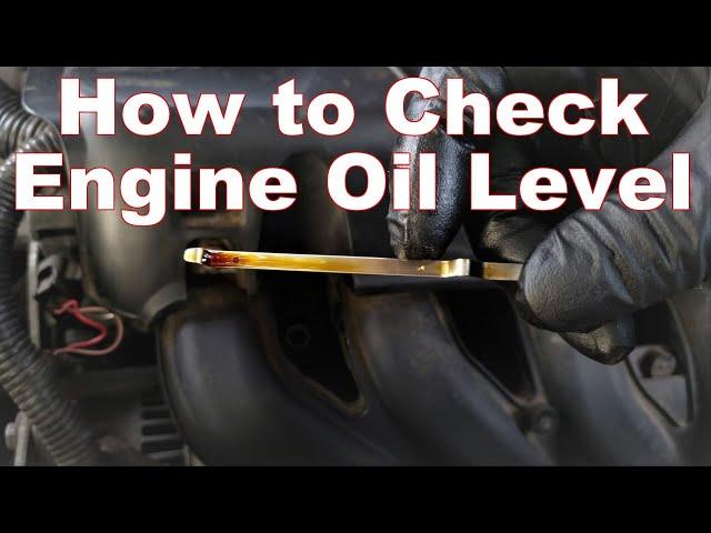 How to Check Your Oil Level & Read Your Dipstick