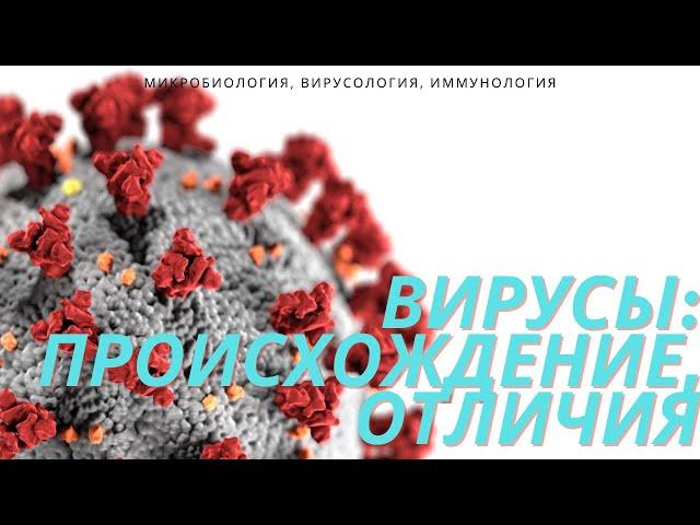 Эволюция и Происхождение Вирусов / Основные Отличия Вирусов От Бактерий