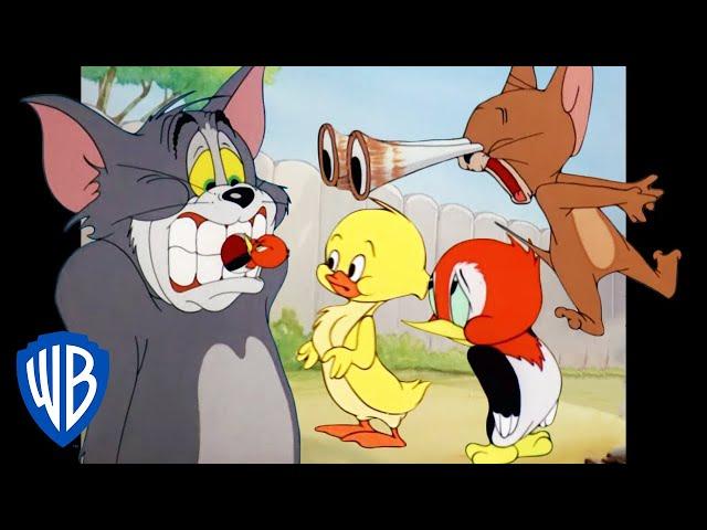 Tom & Jerry | Animal Kingdom | Classic Cartoon Compilation | WB Kids