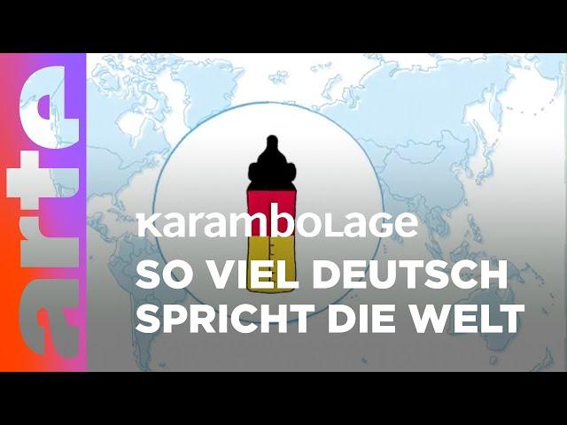 Die deutsche Sprache in der Welt | Karambolage |ARTE