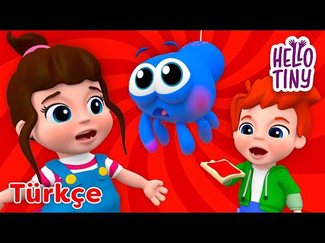 Minik Kız Zeynep | Bebekler için şarkılar | Hello Tiny Türkçe