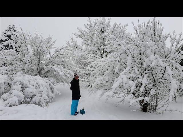 ️ A Walk through Snowy Basel ️ January 2021 ️