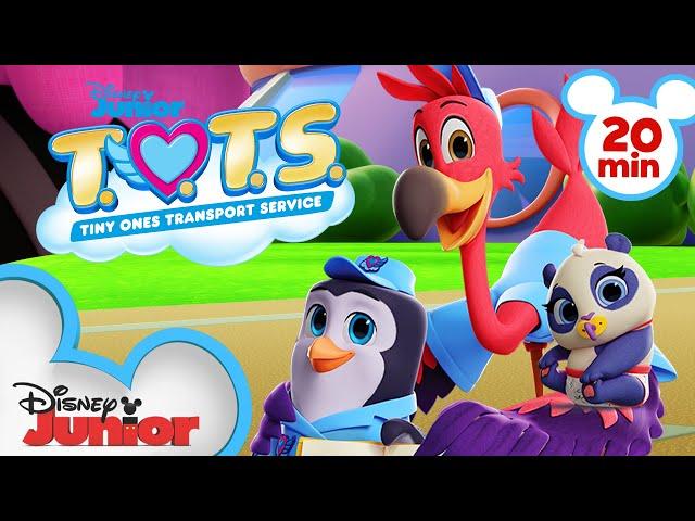 Best of Season 3  | 20 Minute Compilation | T.O.T.S. | @disneyjunior