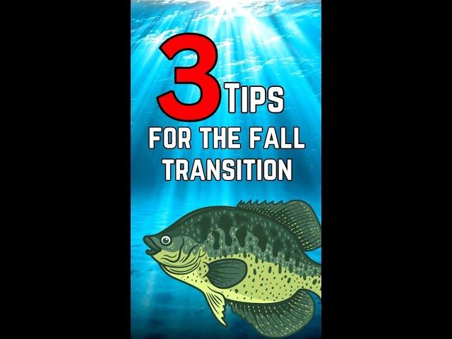 3 Tips for the Fall Transition