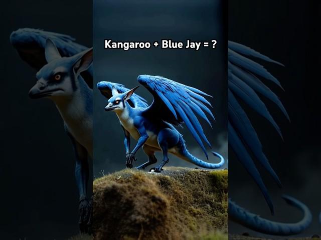 Incredible Kangaroo and Blue Jay animal hybrid #animalhybrids